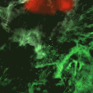 Forces Mentales Saison 2